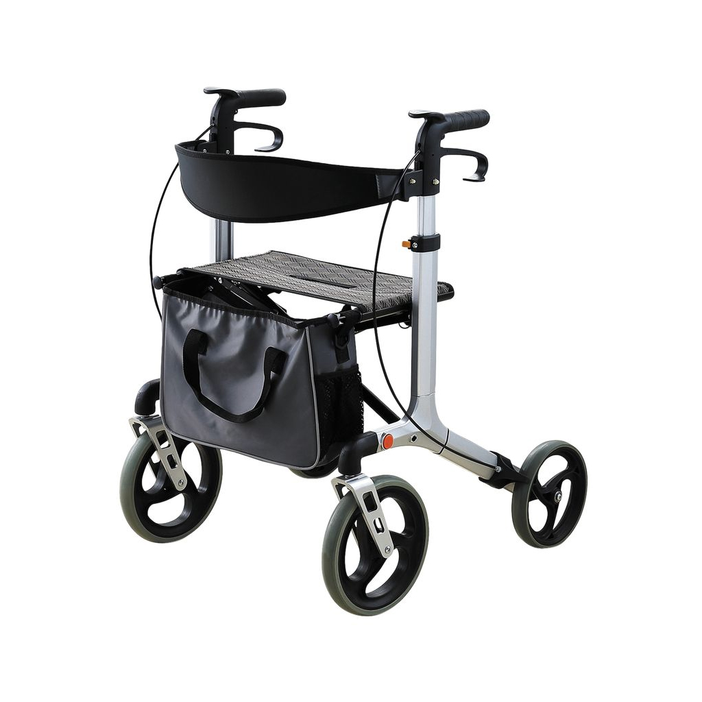 Image de produit Rollator NEO DANDY